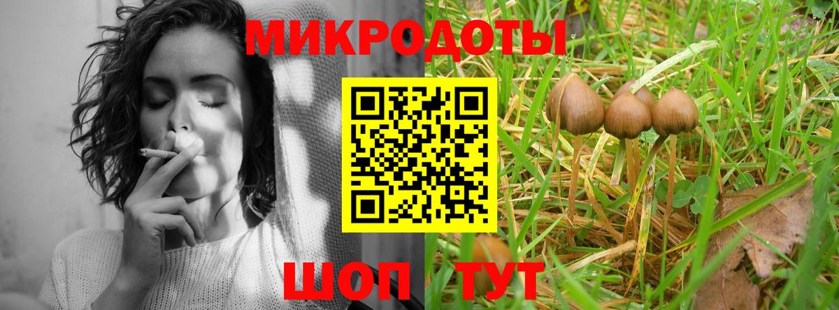 Псилоцибиновые грибы мицелий Пенза